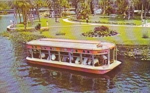 Florida Silver Springs A New Glass Bottom Boat Havers Over One Of The Fourtee...