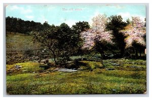 Joseph Smith Birthplace Ruins Sharon Vermont VT UNP DB Postcard V12