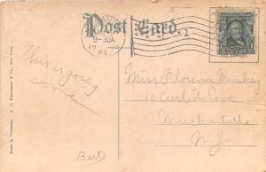 Lebanon Pennsylvania~Park Place @ Chestnut Street~Dog on Corner~1909 Postcard