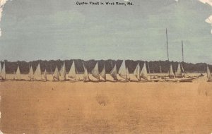 West River Maryland Oyster Fleet Sailboats Vintage Postcard AA53778