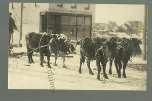 Walker MINNESOTA RP 1912 COW-PULLED SLEDGE Sleigh MAIN STREET Snow WINTER