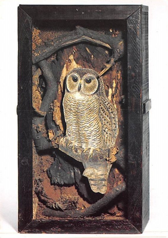 Owl Joseph Cornell Unused 