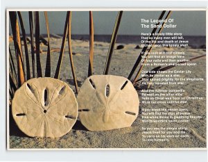 Postcard The Legend of the Sand Dollar