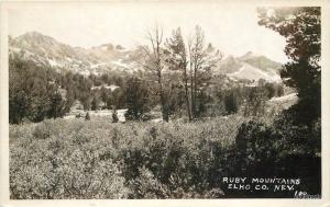 1930s Ruby Mountains Elko County Nevada RPPC Real Photo 2494