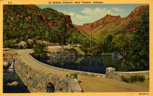 Tucson, Arizona - Driving through the Sabino Canyon - in 1941