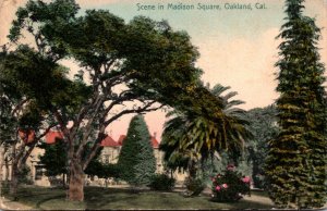 California Oakland Scene In Madison Square 1910