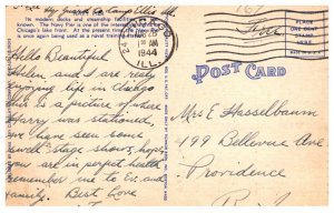 Illinois Chicago Navy Pier