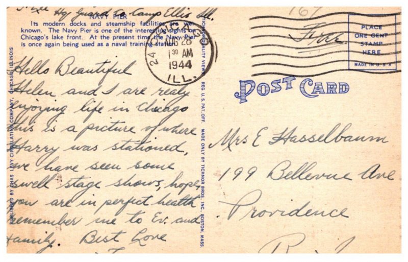 Illinois Chicago Navy Pier