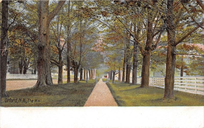 Orford New Hampshire~The Mall~White Fence on Right~Tall Trees along Path~c1905