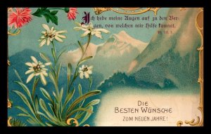 c1910 Best Wishes for the New Year German Flowers Snow Alps Postcard 5-32