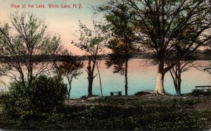 New York Adirondacks View Of White Lake