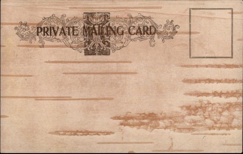 Montreal - Faux Bark Border c1910 Private Mailing Card SHERBROOKE ST #2 