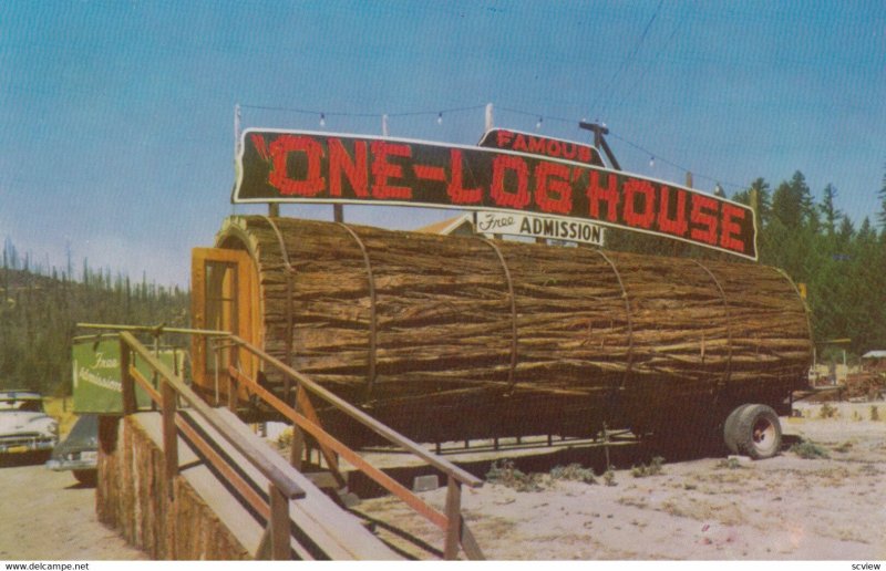 One Tree house , California , 1950-60s