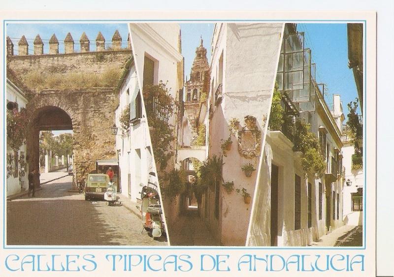 Postal 045776 : Calles tipicas de Andalucia. Cordoba. Calles tipicas