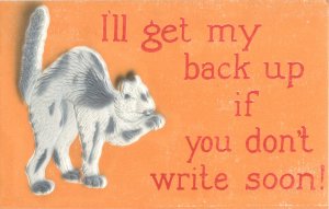 I'll Get My Back Up If You Don't Write Soon Cat Embossed Postcard