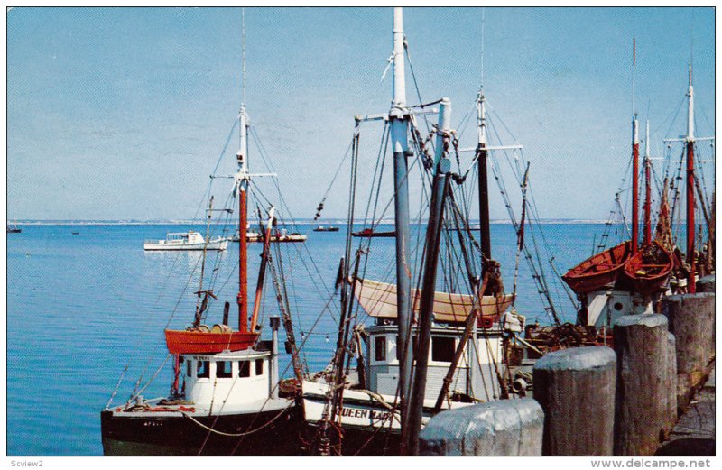 Fishing Boats, CAPE COD, Massachusetts, 40-60´s