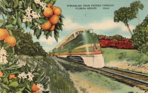 12927 Streamline Seaboard Train Passing Through Florida Citrus Groves