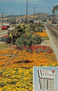 VENTURA, CA East Main Street, Parkway, Flowers ca 1960s Vintage Postcard