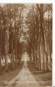 Wiltshire Postcard - The Avenue, Savernake Forest, Marlborough - RP - Ref 3656A