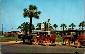 Vtg 1950s Horse and Carriages Sightseeing Tours St Augustine Florida FL Postcard