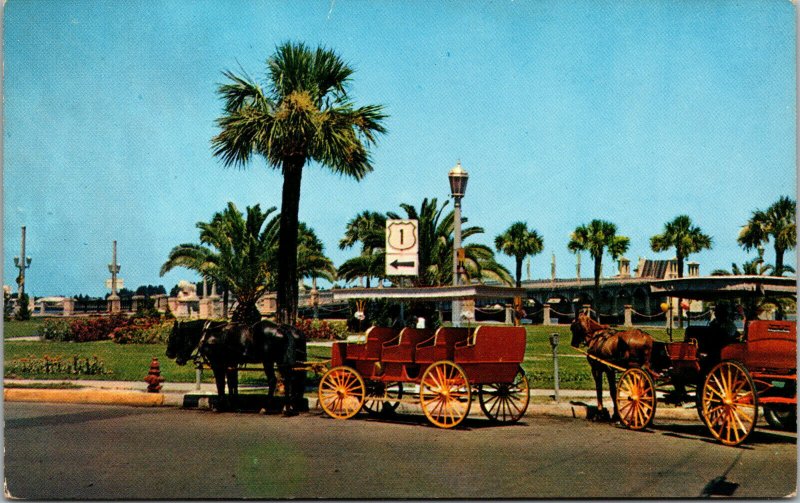 Vtg 1950s Horse and Carriages Sightseeing Tours St Augustine Florida FL Postcard