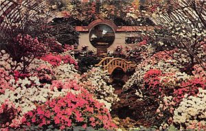 Phipps Conservatory, Spring Flower Show Schenley Park - Pittsburgh, Pennsylva...