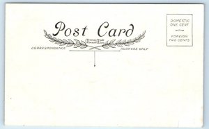 DRESSED RABBITS Easter Comes But Once a Year Geese Embossed Whitney Postcard