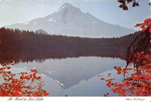 B52189 Mount Hood Lost Lake Oregon  usa