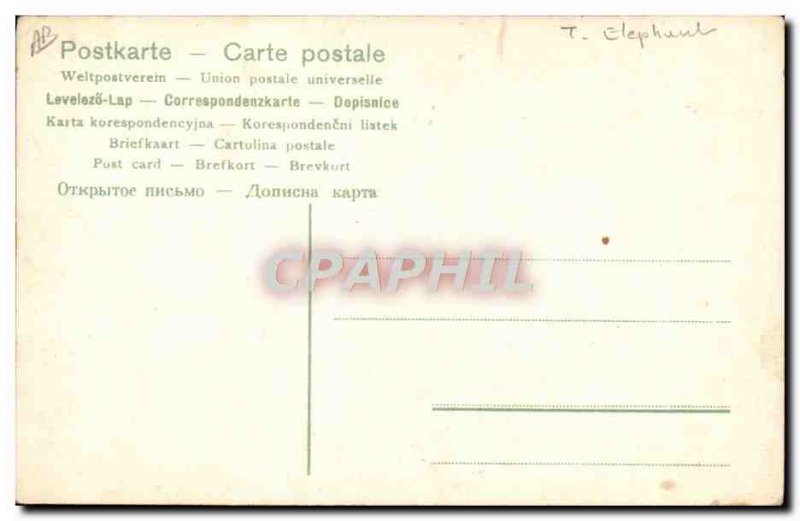 Postcard Old Elephant Elephants India