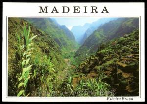 Madeira - Ribeira Brava