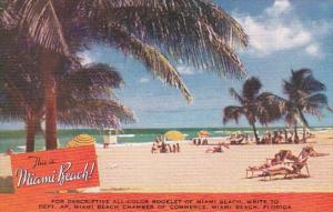 Florida Miami Beach Beautiful Beach Scene