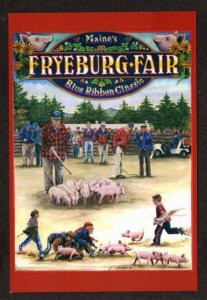 ME View Pig Scramble Fryeburg Fair MAINE Postcard Pigs Hogs