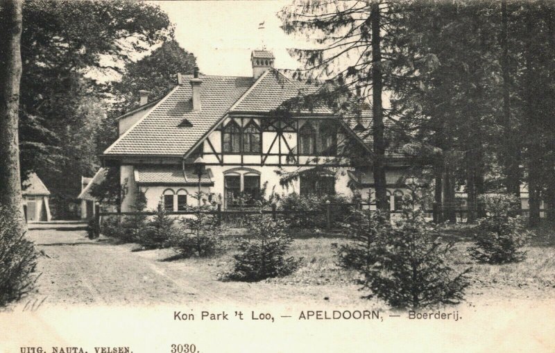 Netherlands Apeldoorn Koninklijk Park 't Loo Vintage Postcard 04.06