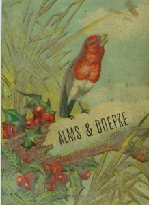 1870's Victorian Trade Card Alms & Doepke Wild Bird Holly Blue Sky Nice! F98