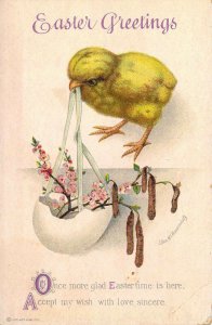 Beautiful Signed Clapsaddle, Embossed, Chicken, Easter Greeting, Old Post Card