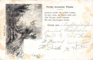 A092 Greetings 1901 Gruss aus Passepartout Landscape Forest path Poem postcard
