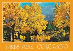 Colorado Pikes Peak & The Golden Aspens