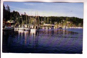 A Fleet of Fishing Boats, Mailed from Astoria Oregon, Used Astoria