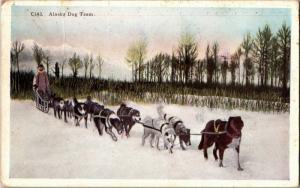 Alaska Dog Team Dogsled Dog Sled c1937 Vintage Postcard O11