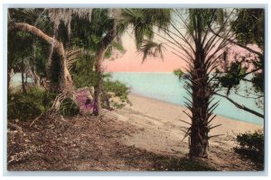 c1920's Spring Time Trees Scene Pinehurst North Carolina NC Unposted Postcard