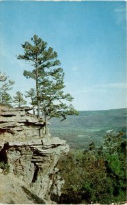 Woodcock-Powell Mfg. Co., Hot Springs, Ark, Hwy. No. 7 Postcard