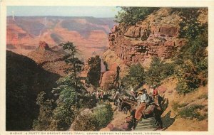 Fred Harvey Postcard H-3145. Party on Bright Angel Trail Grand Canyon Nat'l Park