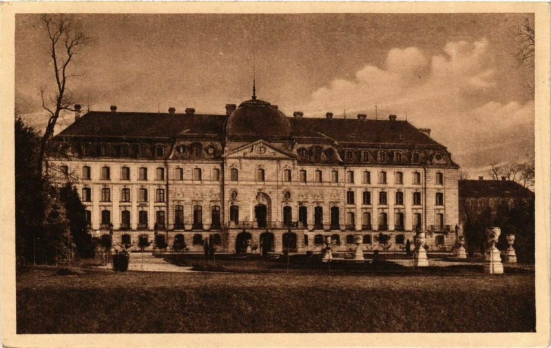 CPA AK Donaueschingen- Furstliches Schloss GERMANY (940134)