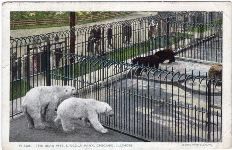 Chicago, Illinois, The Bear Pits, Lincoln Park