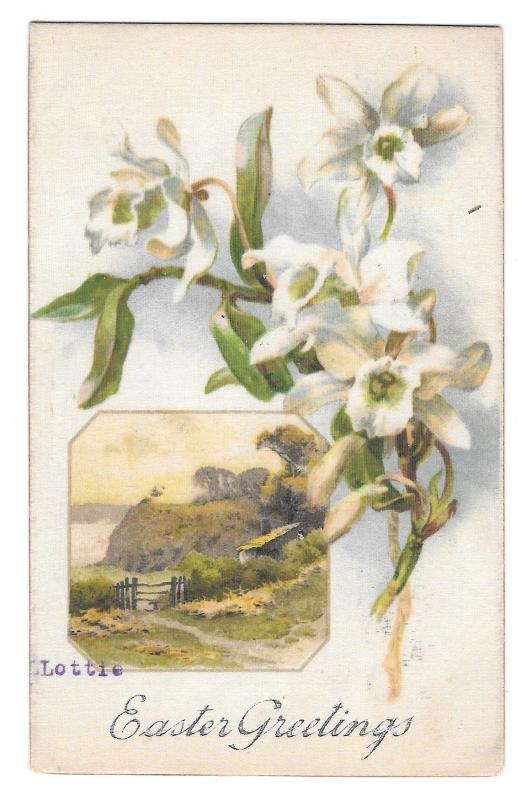 Easter Greetings White Narcissus Country Scene Vintage 1908 Winsch Back Postcard