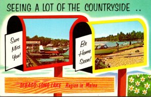 Maine Sebago Long Lake Multi VIew