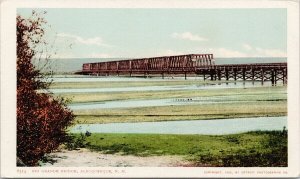 Albuquerque NM Rio Grande Bridge #6314 Detroit Photographic Co Postcard G93