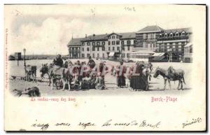 Old Postcard Donkey Mule Berck Plage The appointment donkeys