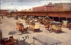 St Louis Missouri Freight Mississippi Levee c1900-20s Vintage Postcard