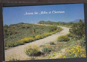 Christmas in AZ Postcard BIN 
